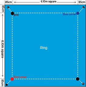 boxing ring dimensions