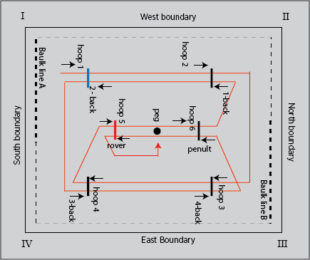 croquet field dimensions