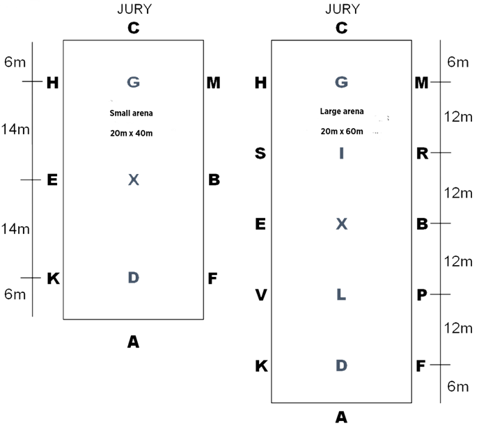 Dressage-small-and-large-arena Dressage small and large arena dimensions
