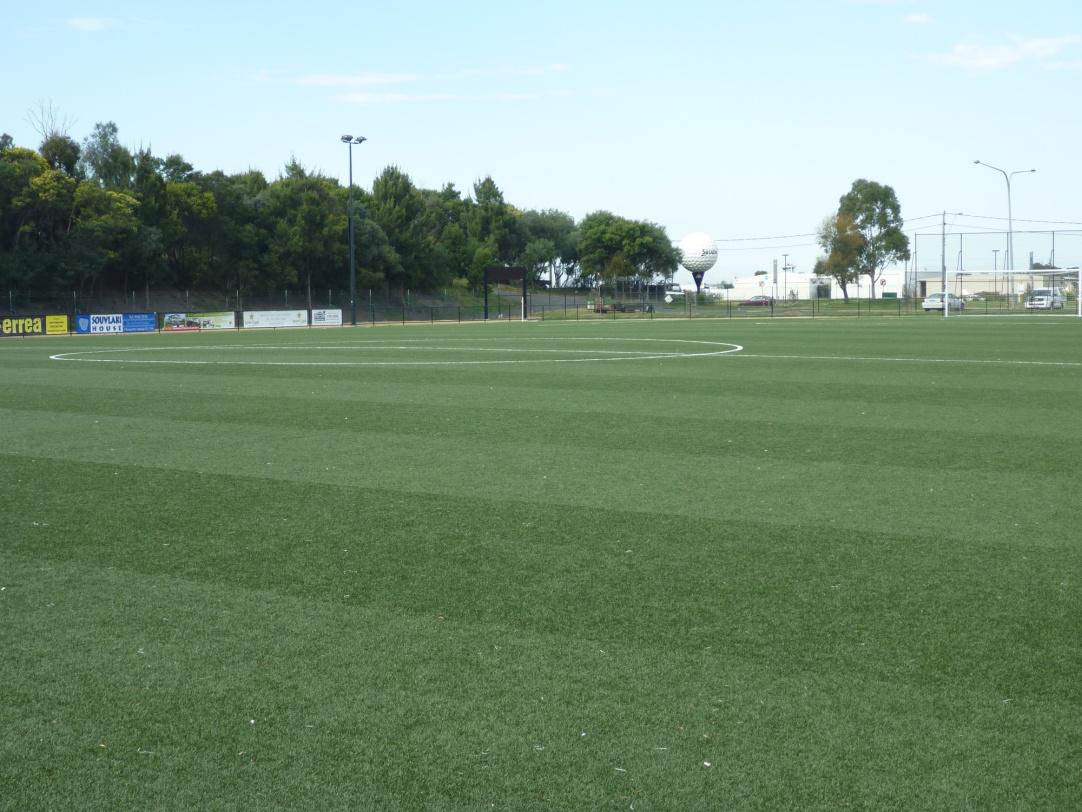 Artificial Turf Sports Field History: A Green Revolution