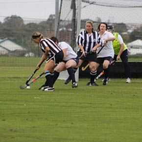 Typical hockey pitch surfaces natural grass