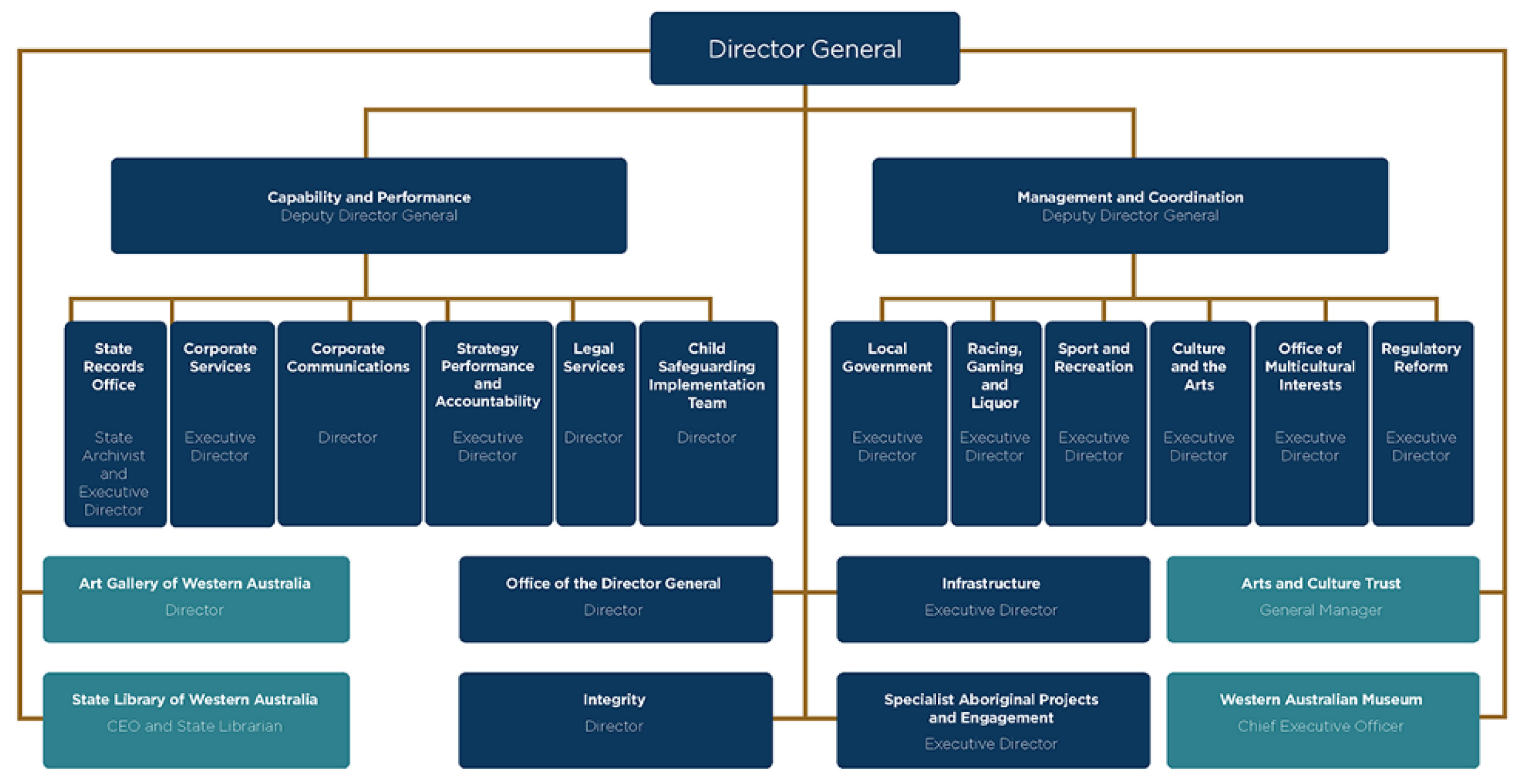 Organisational structure graphic showing division and entities under the director general.